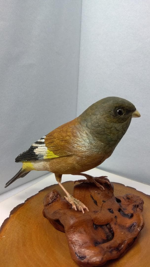 プロフさん 木彫りの鳥