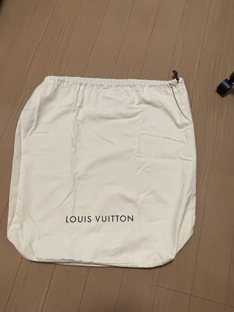 LOUIS VUITTON 【ルイヴィトン】ヴェルニ ペガス45