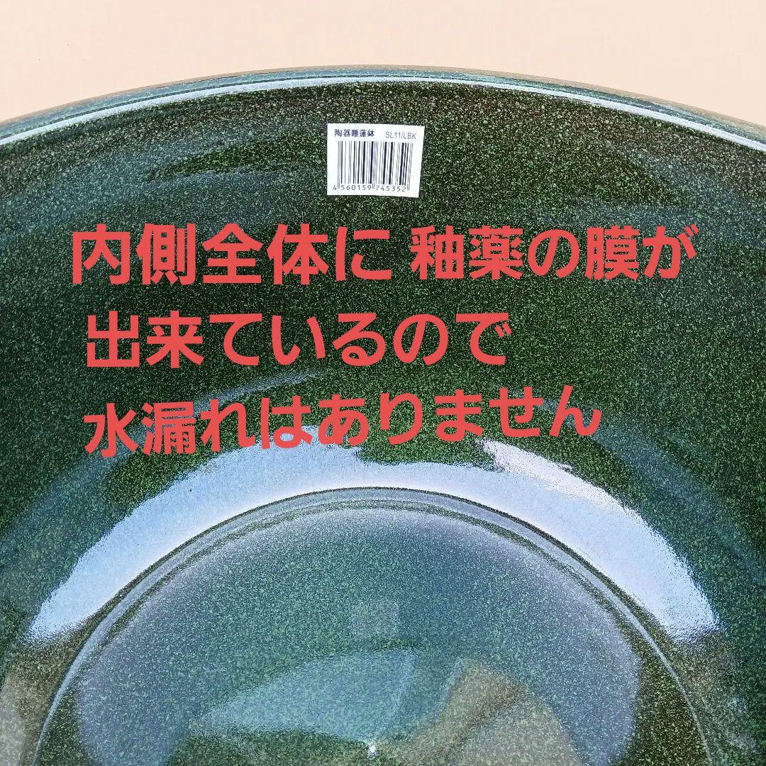 新品　∅50　陶器睡蓮鉢　特大　メダカ鉢　難有　エメラルドグリーン　緑黒　LBK 新品 特大50 陶器睡蓮鉢 メダカ鉢 難有 エメラルドグリーン 緑黒
