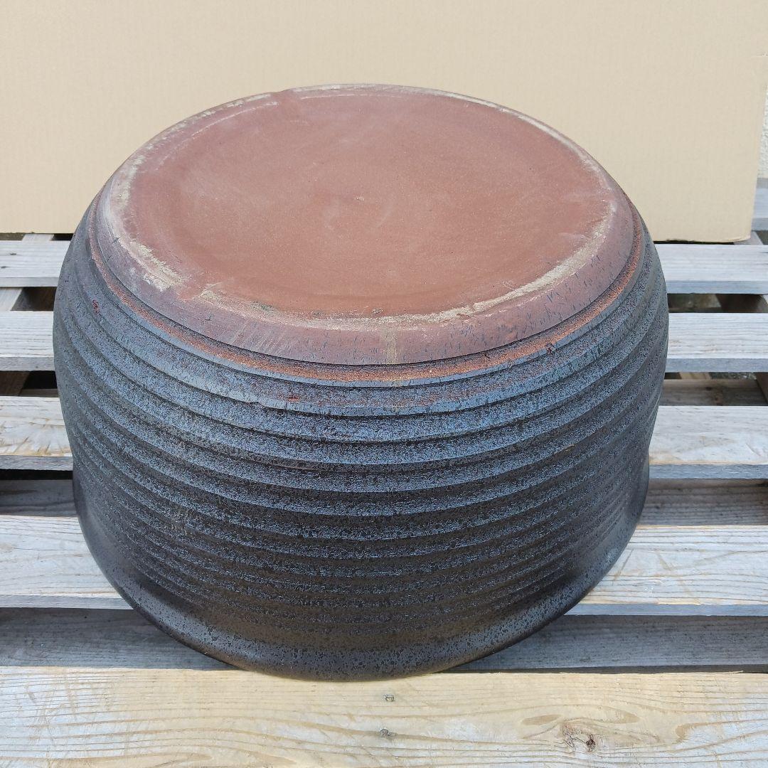 新品 特大50 陶器睡蓮鉢 メダカ鉢 難有 エメラルドグリーン 緑黒