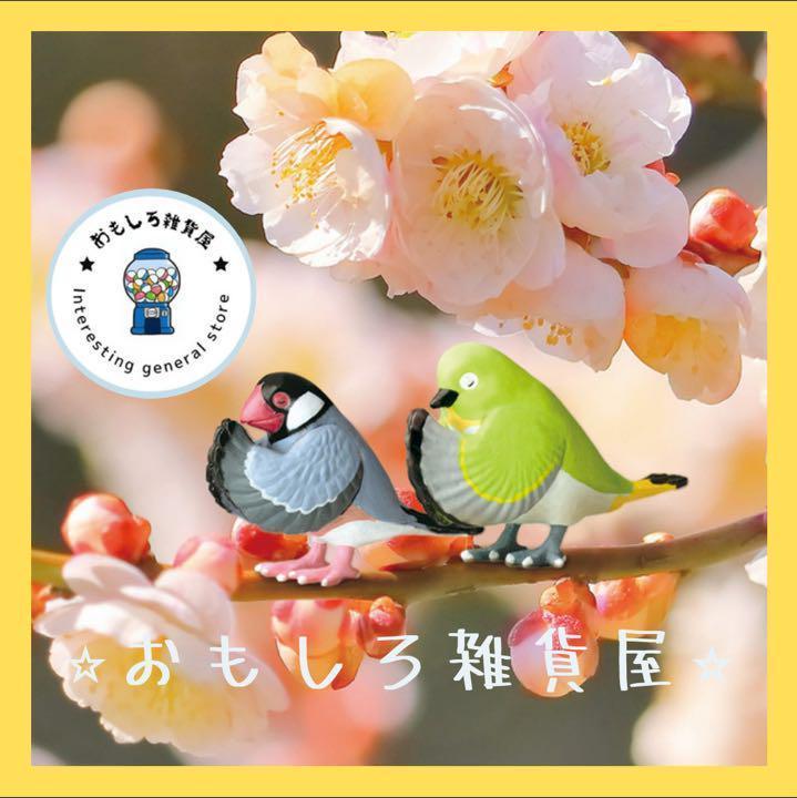 合掌 鳥拝 ガチャ 全5種セット 残りわずか 新品未使用 犬拝 猫拝も販売中 メルカリ