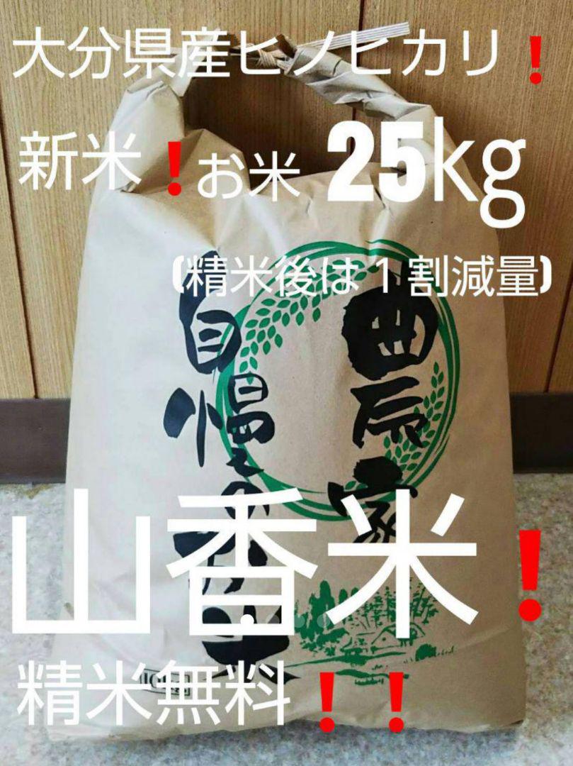 全国宅配無料 mikiいちごスムージー様専用☆3台ランプ - 天井照明