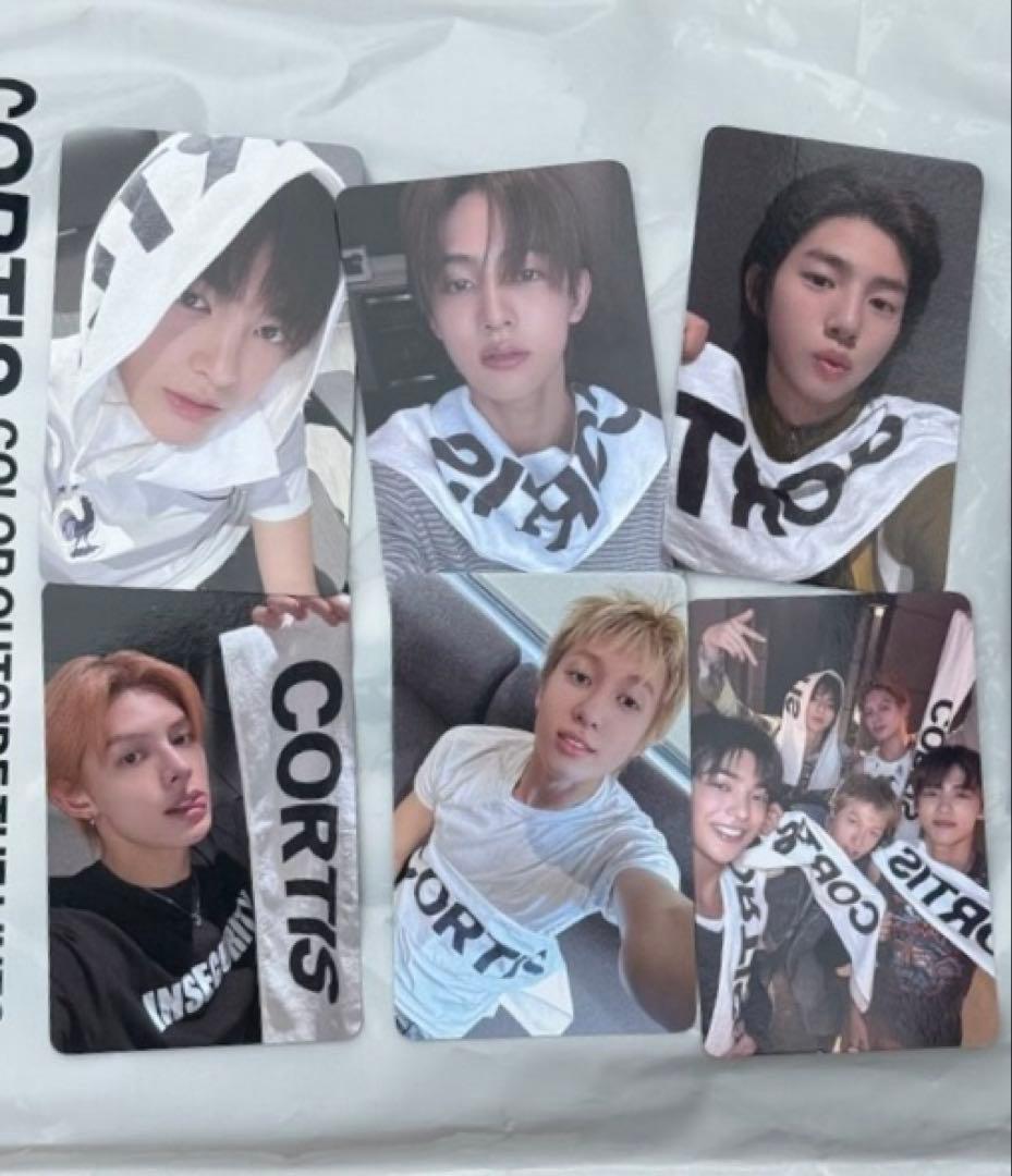 cortis コルティス　ショーケース　６枚　セット