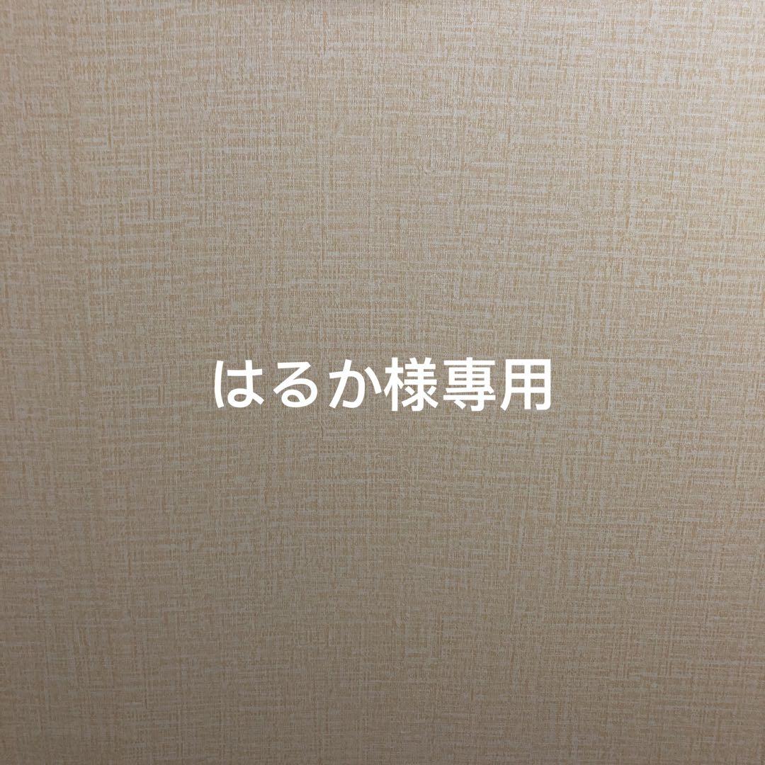 はるか様專用