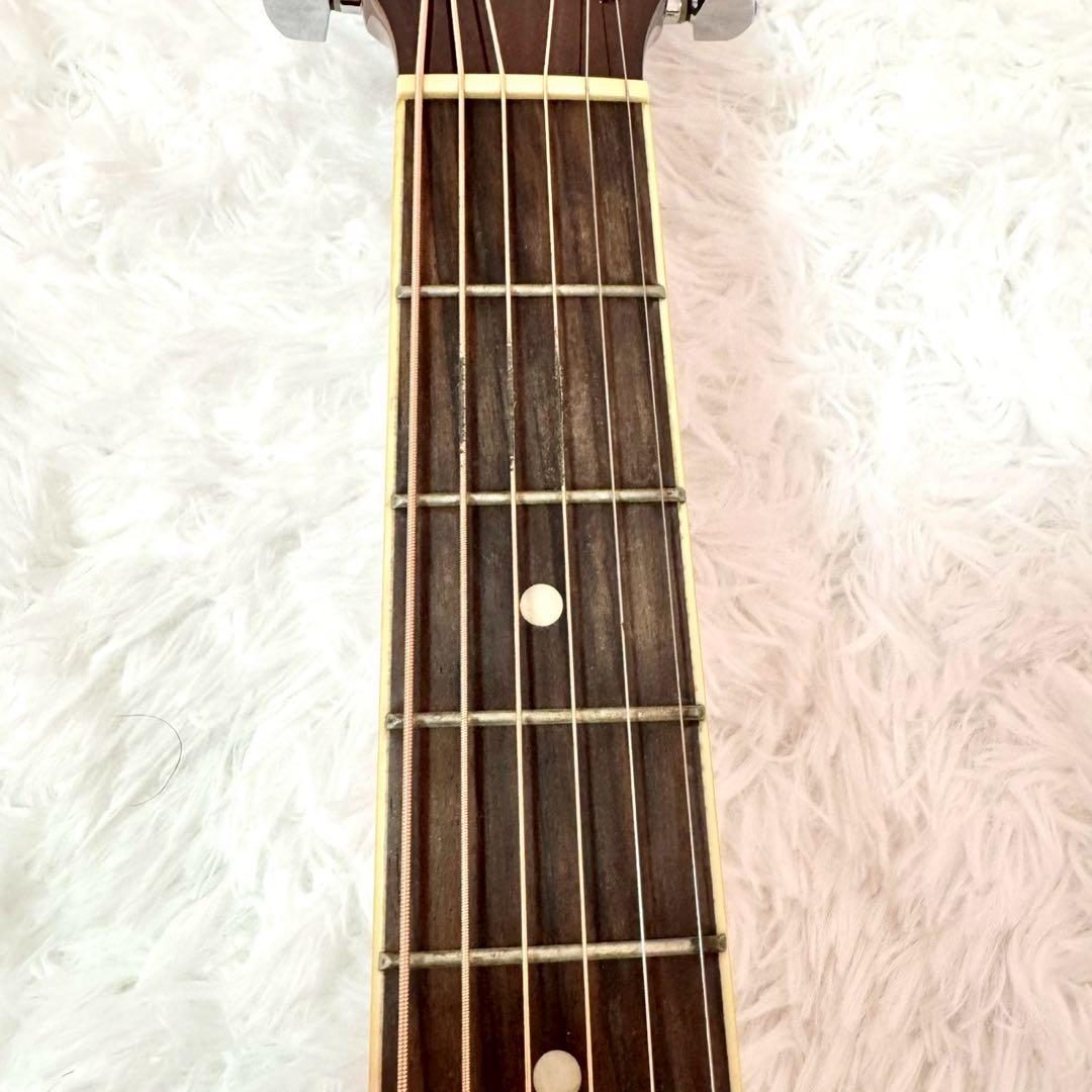 HONEY BEE　F-15 / N　アコースティックギター