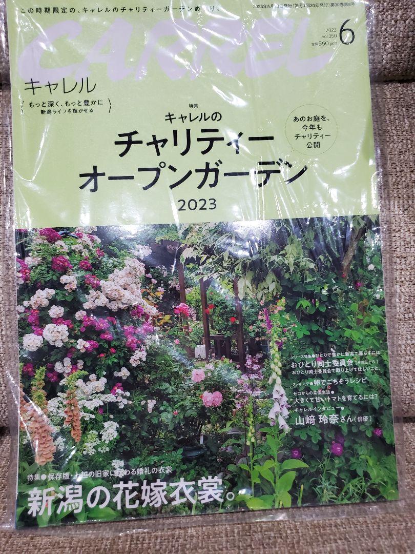 確認用】新潟情報誌 CARREL