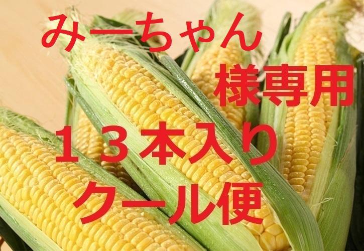 ２９００円！朝採れ発送！生でも食べられる「ゴールドラッシュ」クール便対応 3900円、1箱、13本・早朝収穫発送のゴールドラッシュ！クール便