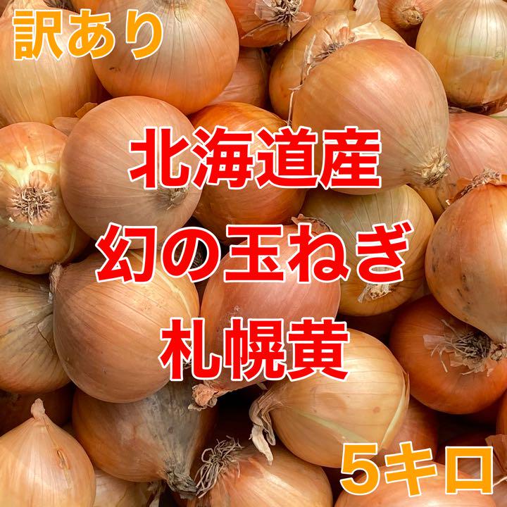 北海道産 玉ねぎ 幻の玉ねぎ 札幌黄 美味しい 新鮮 5キロ 5kg 規格外野菜 - メルカリ 北海道産 玉ねぎ 幻の玉ねぎ 札幌黄 美味しい 新鮮 5キロ 5kg 規格外野菜 - メルカリ