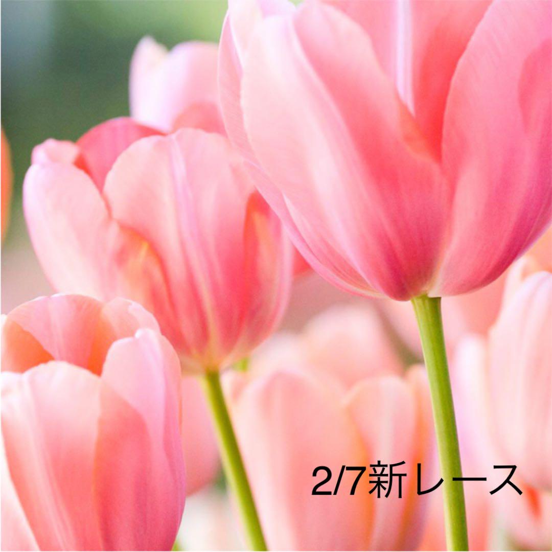 2 7新レース