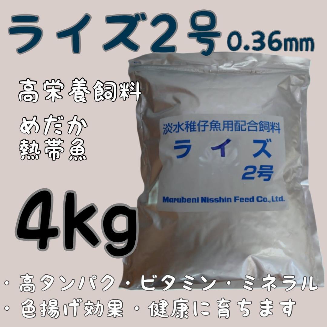 ADA カボーションルビー