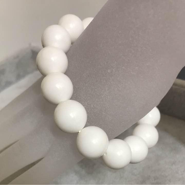 ★限定一品★コレは貝だ♫得々セット【シャコガイ☆マザーオブパール♢他】❤️