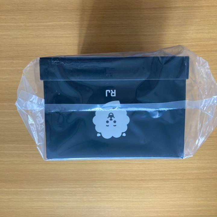 ヨーロッパ限定 BT21 RJ スタンディングドール 中 qV8Zv-m28796041299 匿名発送 正規品得価