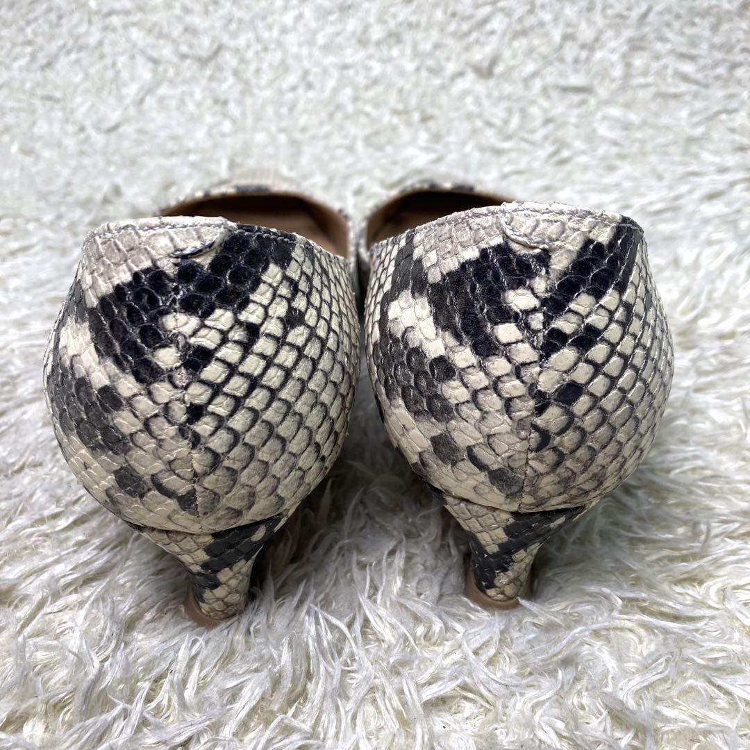 ペリーコ　アネッリ　パンプス　パイソン　ヒール　レザー　ポインテッドトゥ