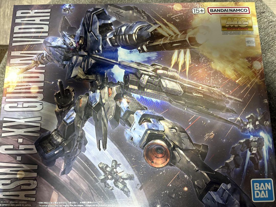 MG ガンダム　ヴィダール