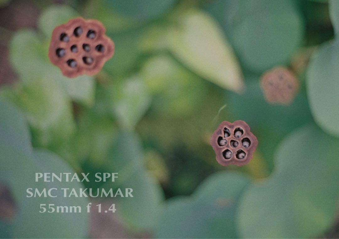 pentax spf／smc 50mm f1.4★完動品＊美品＊初期保証付き！