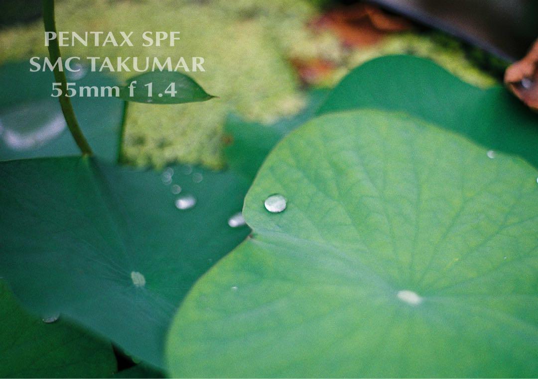 pentax spf／smc 50mm f1.4★完動品＊美品＊初期保証付き！