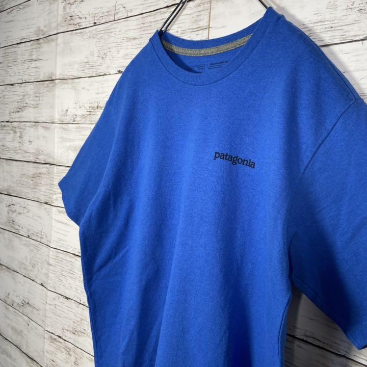 お得新作 メキシコ製 パタゴニア 半袖Tシャツ デカロゴバックプリント メンズS 青 kWAEa-m28844514126 豊富な低価