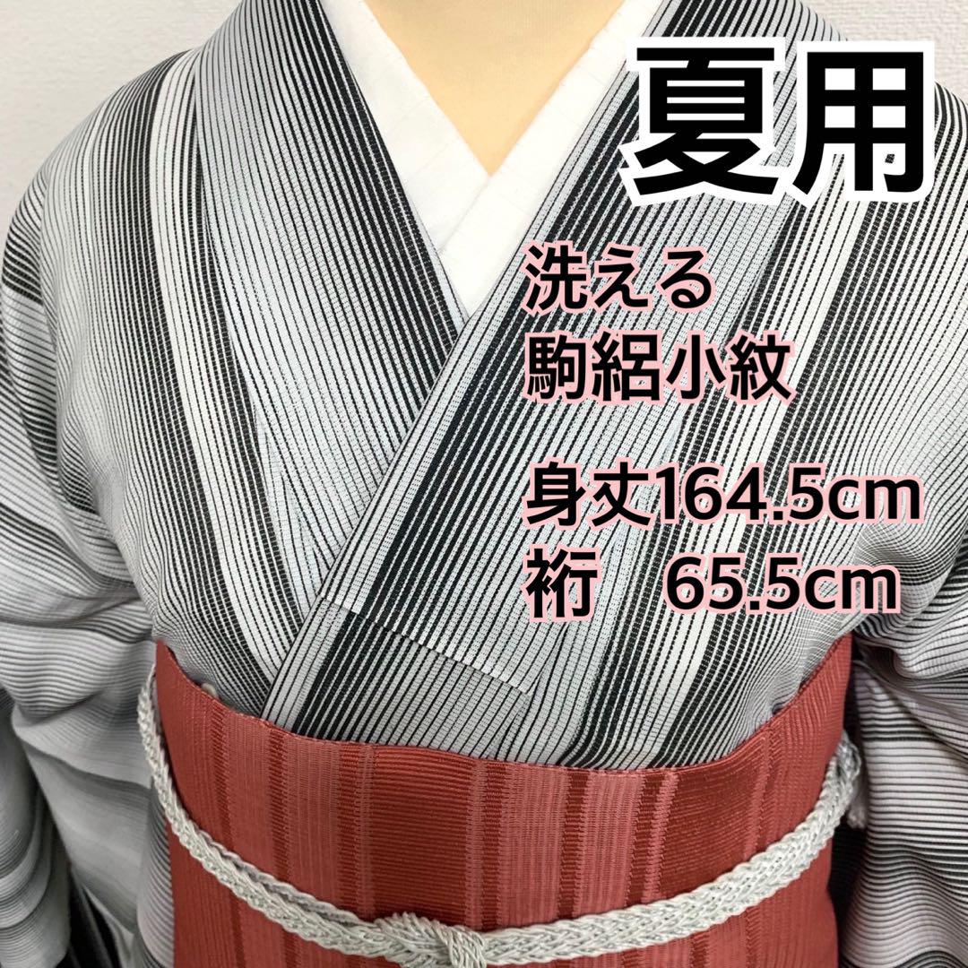 ❤️❤️❤️うさうさ◆450◆趣味の着物集い◆洗える　夏用　小紋　駒絽　葉模様 ❤️❤️❤️うさうさ◇446◇趣味の着物集い◇洗える 夏用 小紋