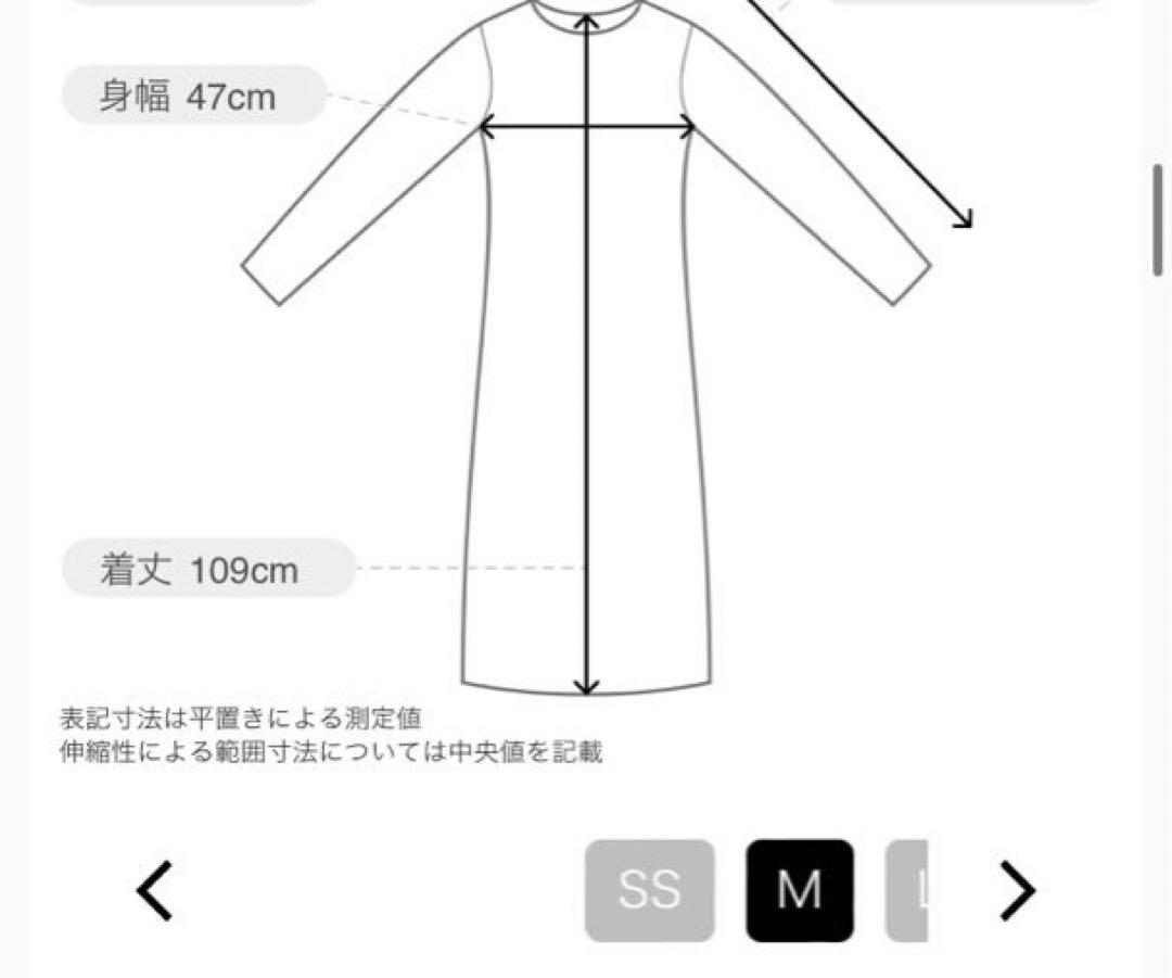 ゆめ●タグ付き（新品）シビラ　リリーガーデンプリントドレスMサイズ
