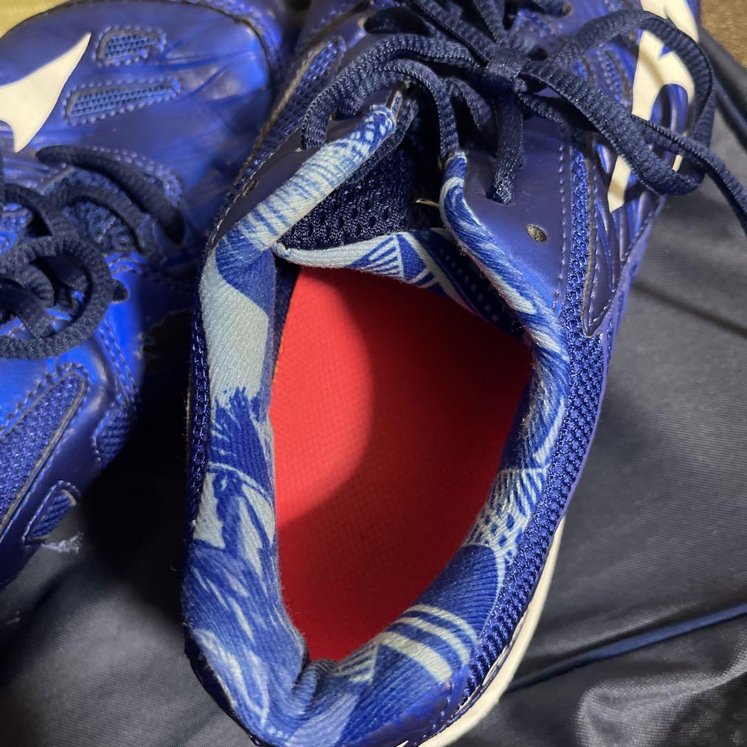 MIZUNO ミズノ　バドミントンシューズ　ウェーブクロースペシャルエディション