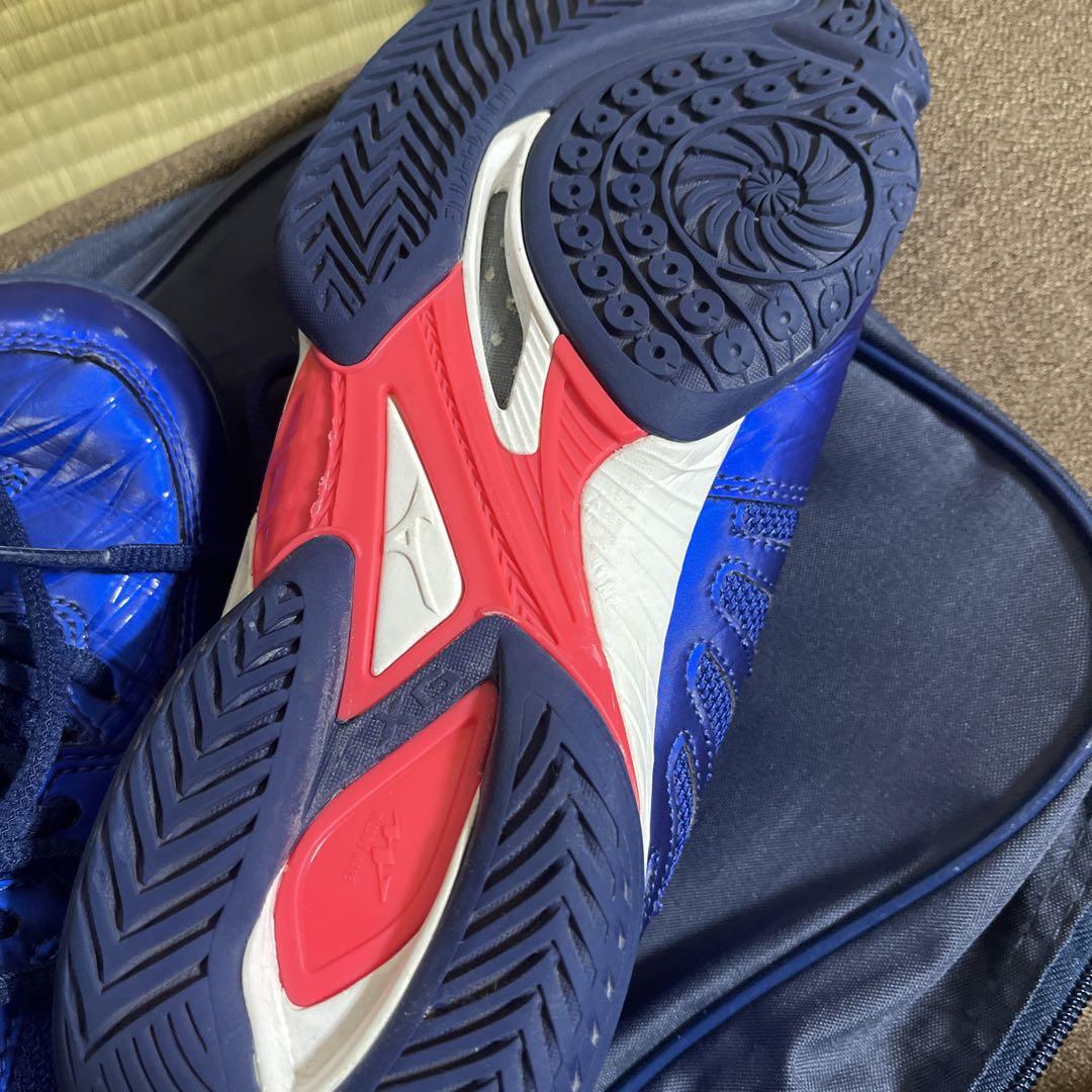 MIZUNO ミズノ　バドミントンシューズ　ウェーブクロースペシャルエディション