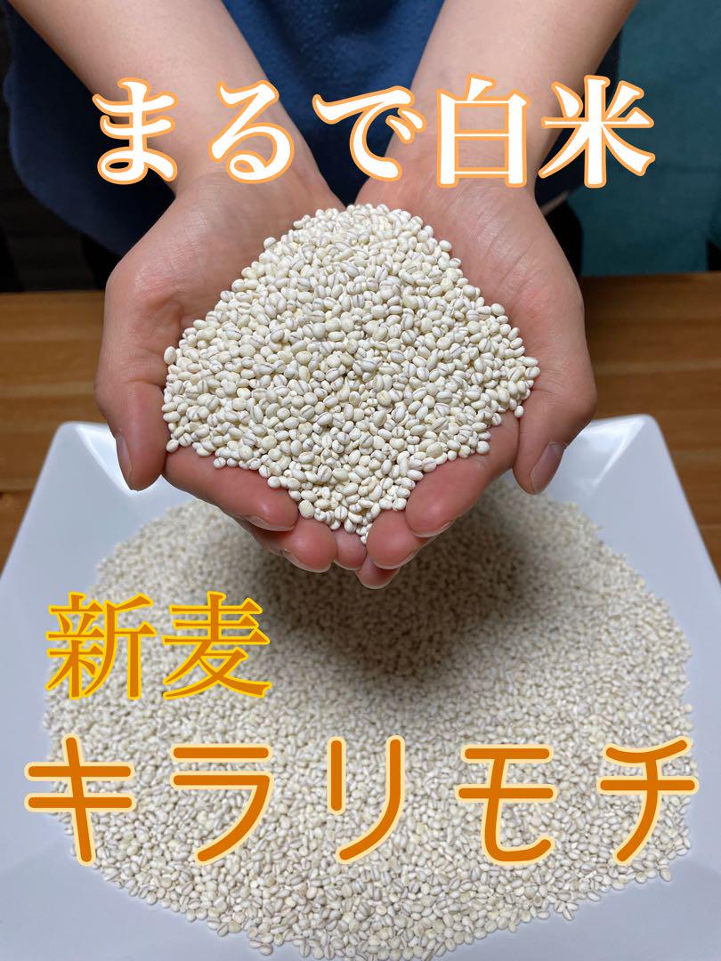 送料込み！新麦 令和7年産キラリモチ もち麦 1.5kg国産 - メルカリ