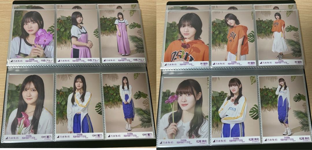 【値下げ中】乃木坂46 真夏の全国ツアー2024 Special フルコンプ