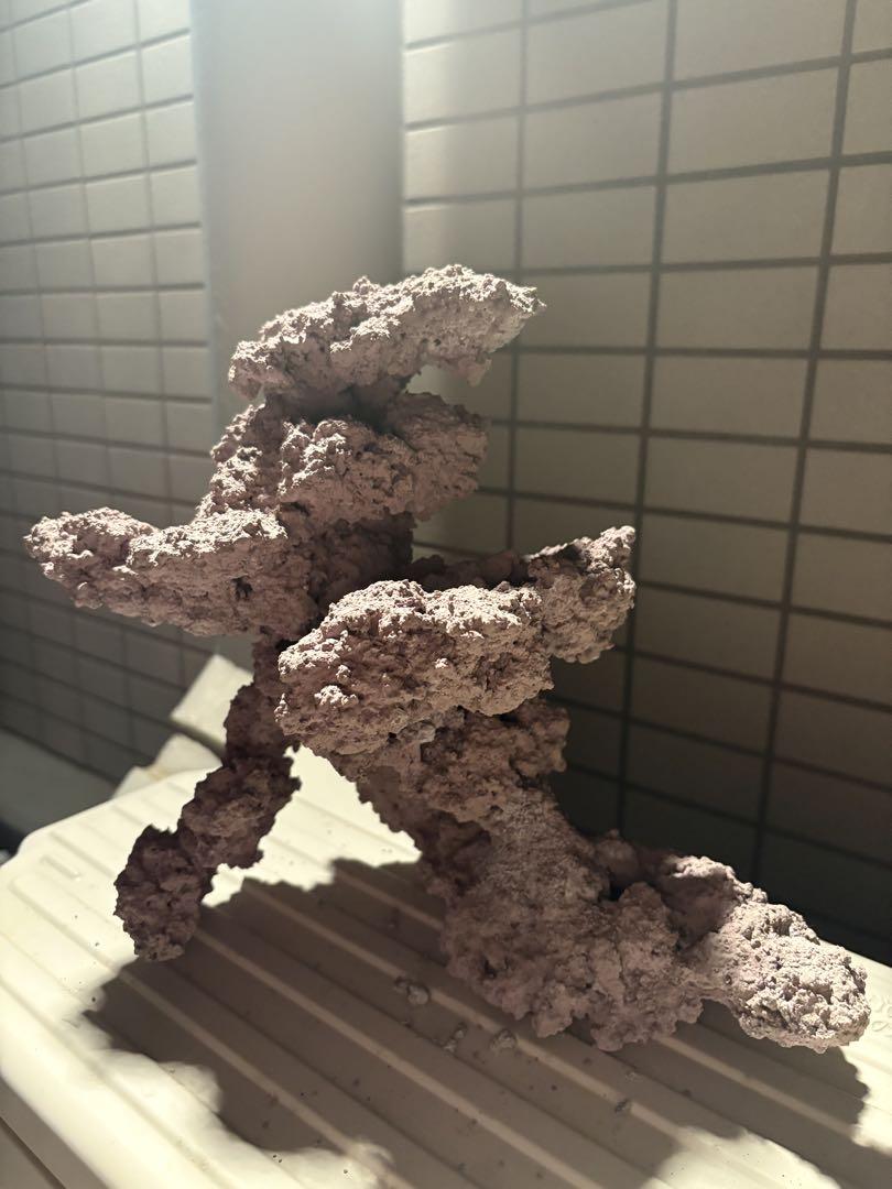 ライブロック