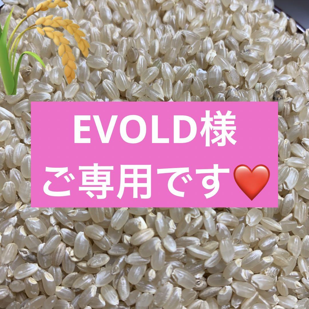 【ご予約分】EVOLD様ご専用です❤️ コシヒカリ　一等米　24キロ