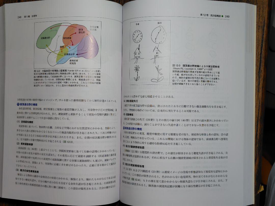 基礎歯科生理学 第7版 | 岩田 幸一, 井上 富雄, 舩橋 誠, 加藤
