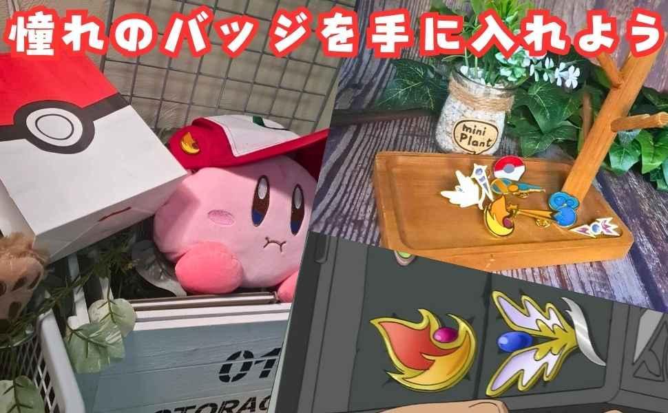ジムリーダーバッジ カロス＆イッシュ ピンバッジ 種 国内4cm