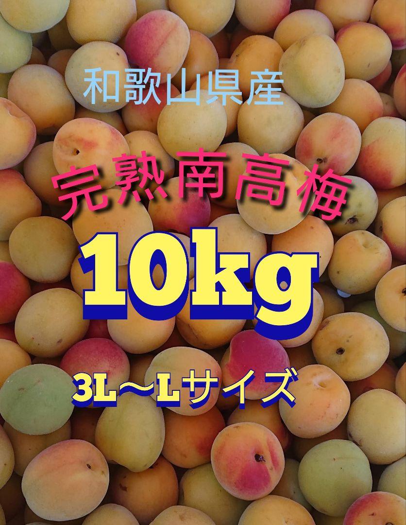 ななちゃん様専用❕南高梅 完熟15kg和歌山県産