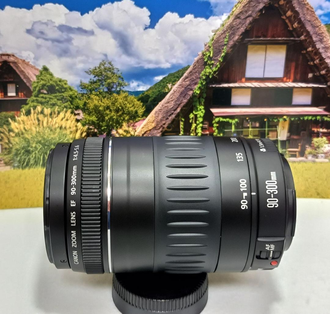 最高の瞬間を望遠で！ Canon キヤノン 望遠レンズ EF90-300mm＃4 ♥♢望遠レンズ キヤノン EF90-300mm Canon 最高の瞬間を望遠で！