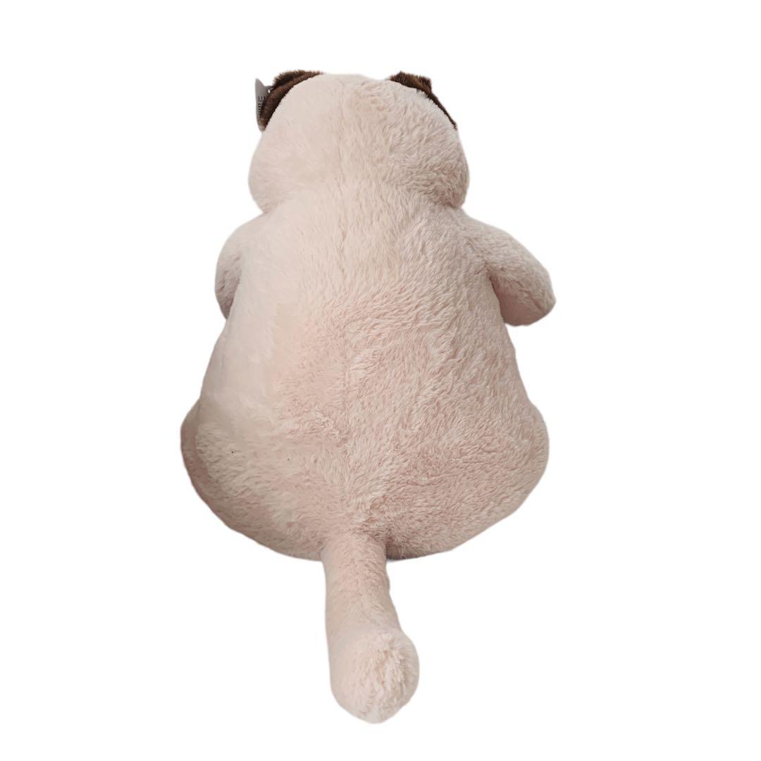 mofusand サメにゃん超BIGぬいぐるみ｜タイトーの2月のおすすめ