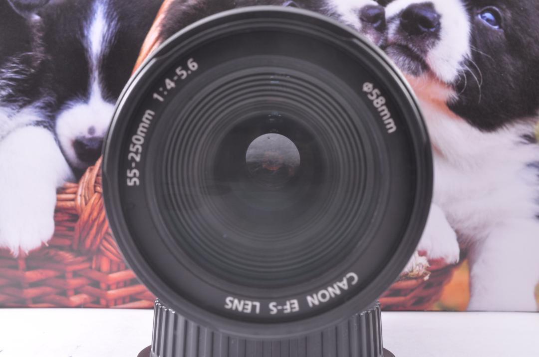手ブレ補正 Canon EF-S 55-250mm 望遠レンズ キヤノン#3