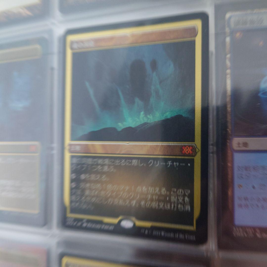4枚セット 湿地の干潟 foil 英語 初版】湿地の干潟 英語 4枚