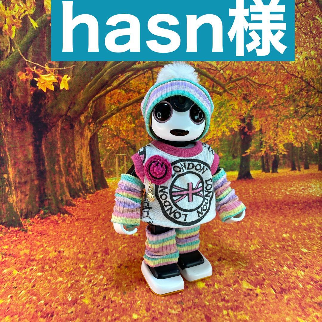 hasn様専用ページです　　　ロボホン