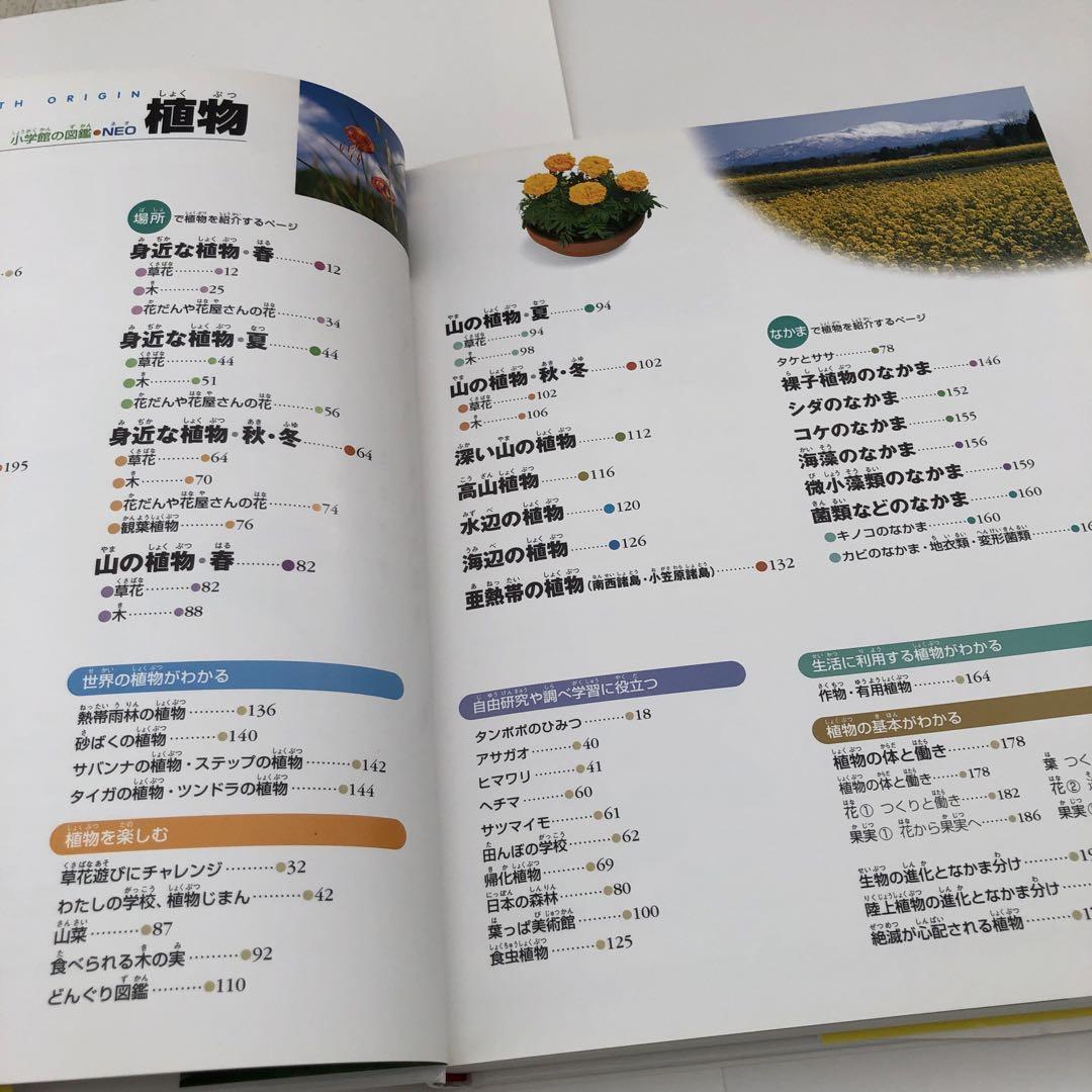 美品【小学館の図鑑NEOシリーズ他9冊＋学研の図鑑1冊】合計10冊