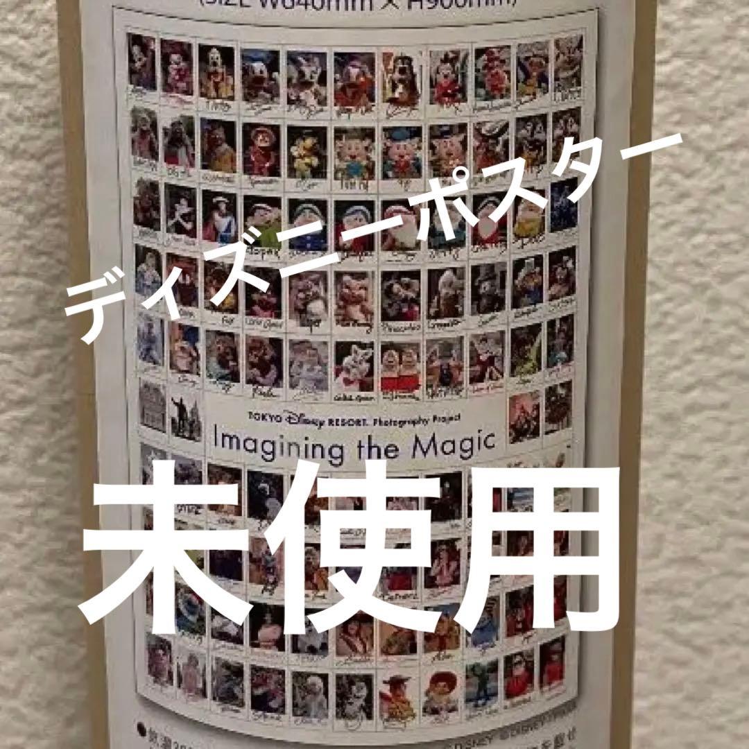 誠実 未使用 入手困難 メルカリ便 ディズニー イマジニングザマジック 誠実 未使用 入手困難 メルカリ便 ディズニー イマジニングザマジック