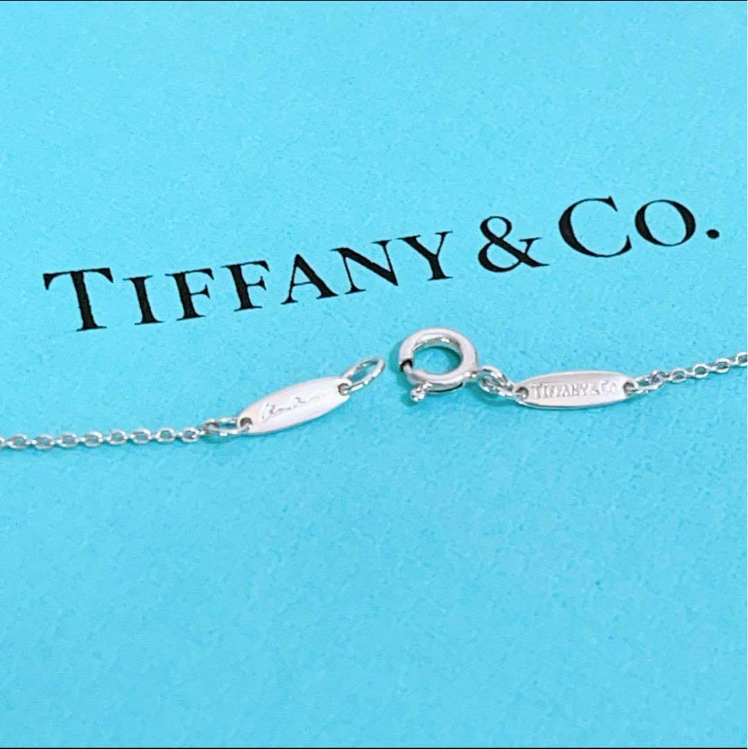 美品】TIFFANY&Co. シルバーネックレス ティファニー ティア