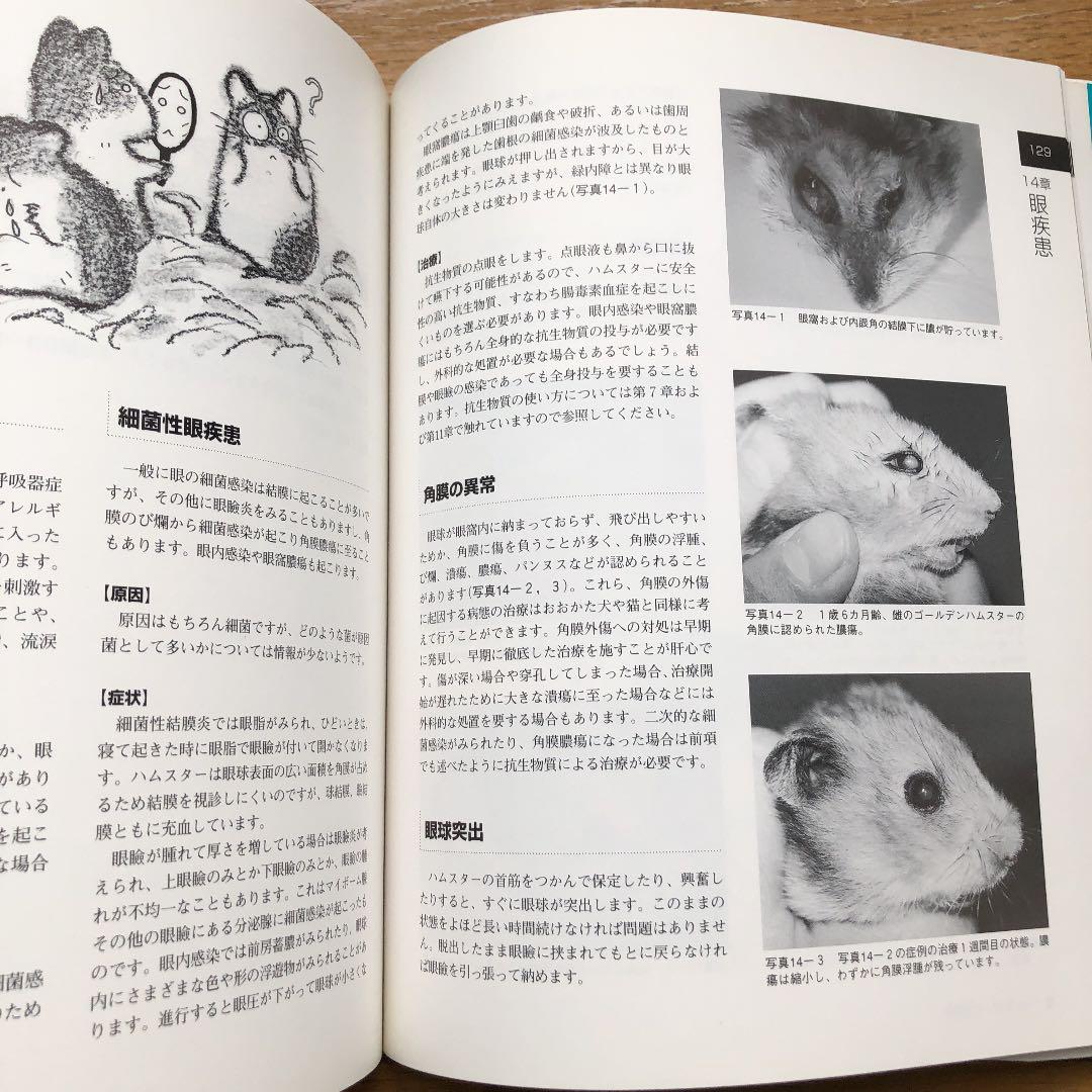 獣医学 ハムスター学入門 - メルカリ