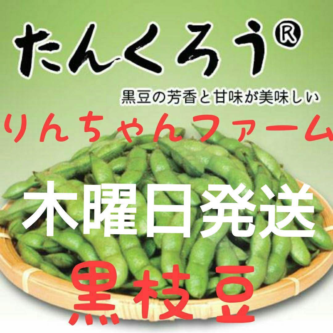 新潟枝豆 黒埼産くろさき茶豆1.2kg(600g×2袋) 枝豆 朝採り 新鮮
