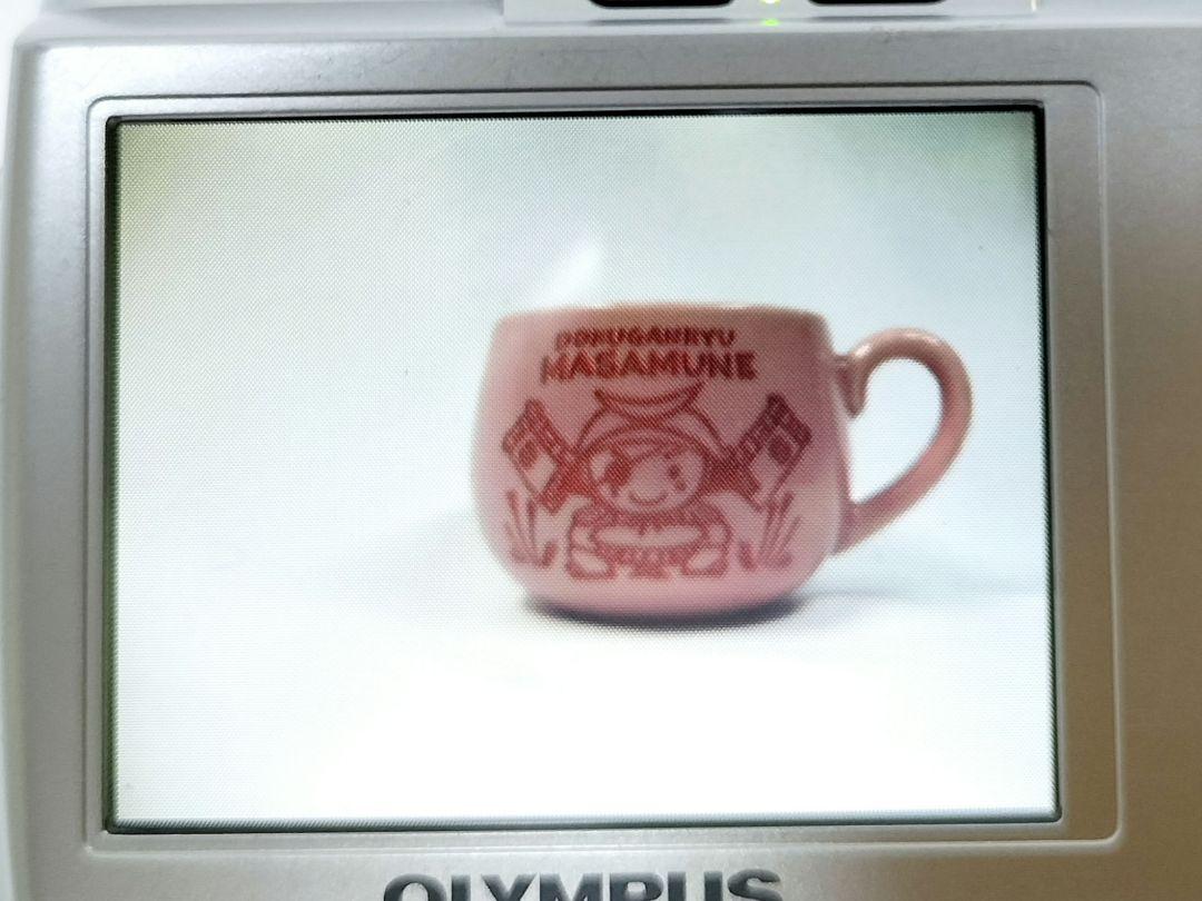 【動確/良品】OLYMPUS FE 310