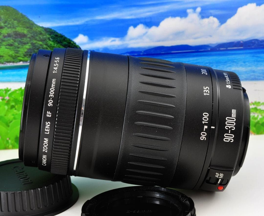 ギフ_包装】キヤノン 望遠レンズ Canon キャノン EF90-300mm 想い出の
