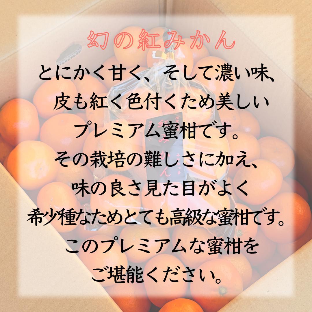 ユルセナルイ様専用 3箱 紅みかん 黒箱約3㌔高級味濃い みかん