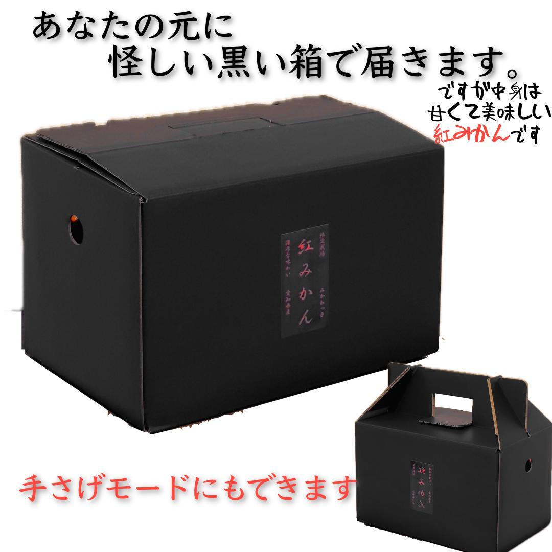 再再販！ ユルセナルイ様専用 3箱 紅みかん 黒箱約3㌔高級味濃い みかん 果物