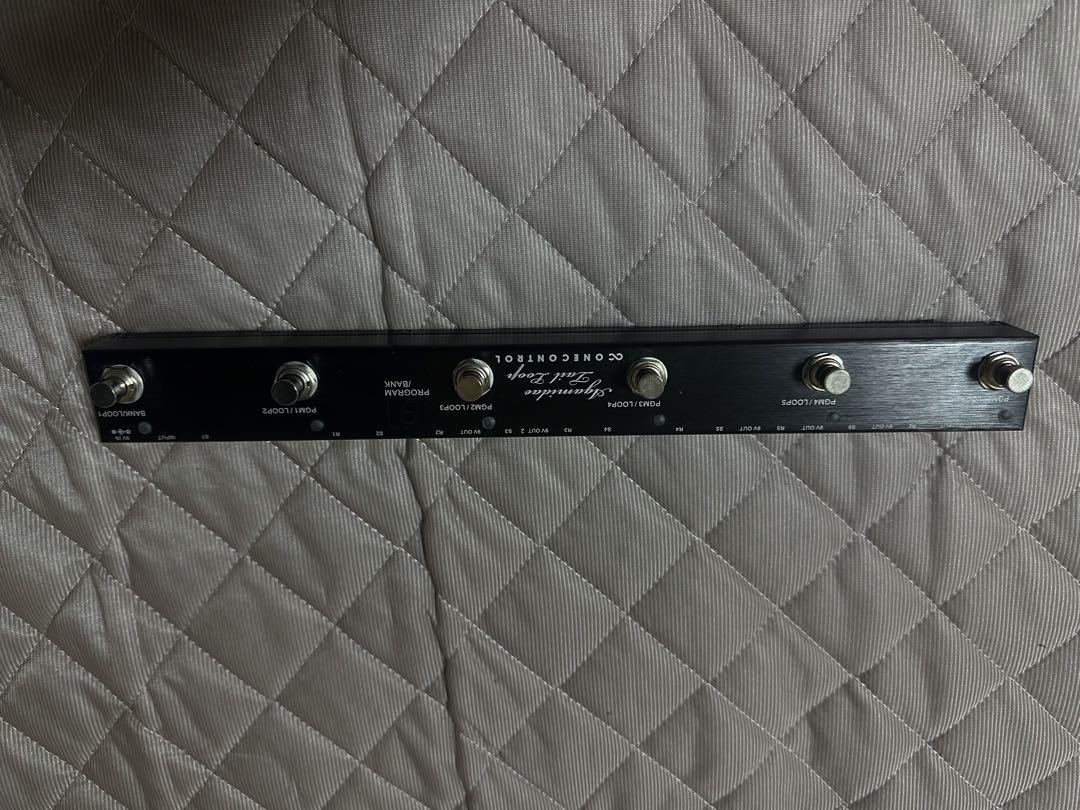 ONE CONTROL Agamidae Tail Loop プログラム