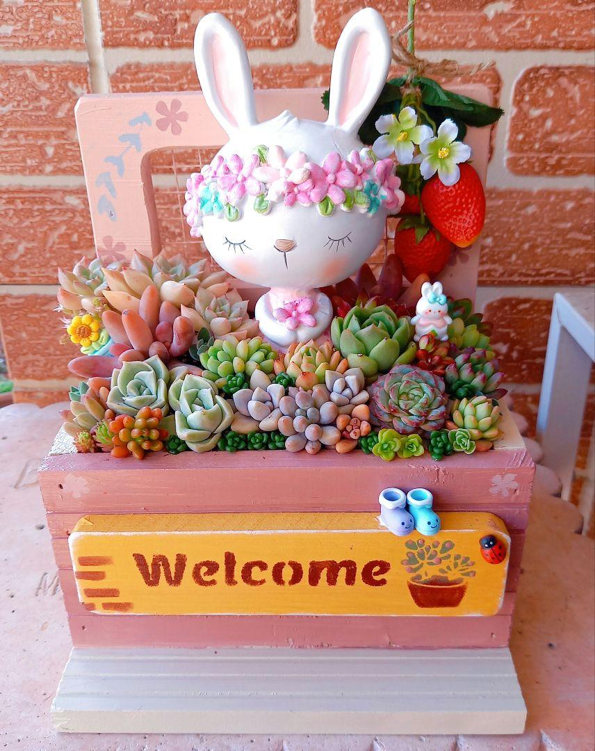 ❤️専用♥多肉植物❤️そのまま飾れる寄せ植え❤️花冠うさぎちゃん❤️ ❤️多肉植物❤️そのまま飾れる寄せ植え~❤️花冠うさぎちゃん