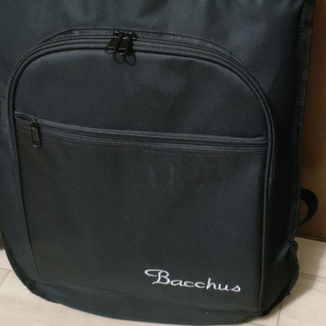 Bacchus エレキギター　TACTICS24 ST-SFG