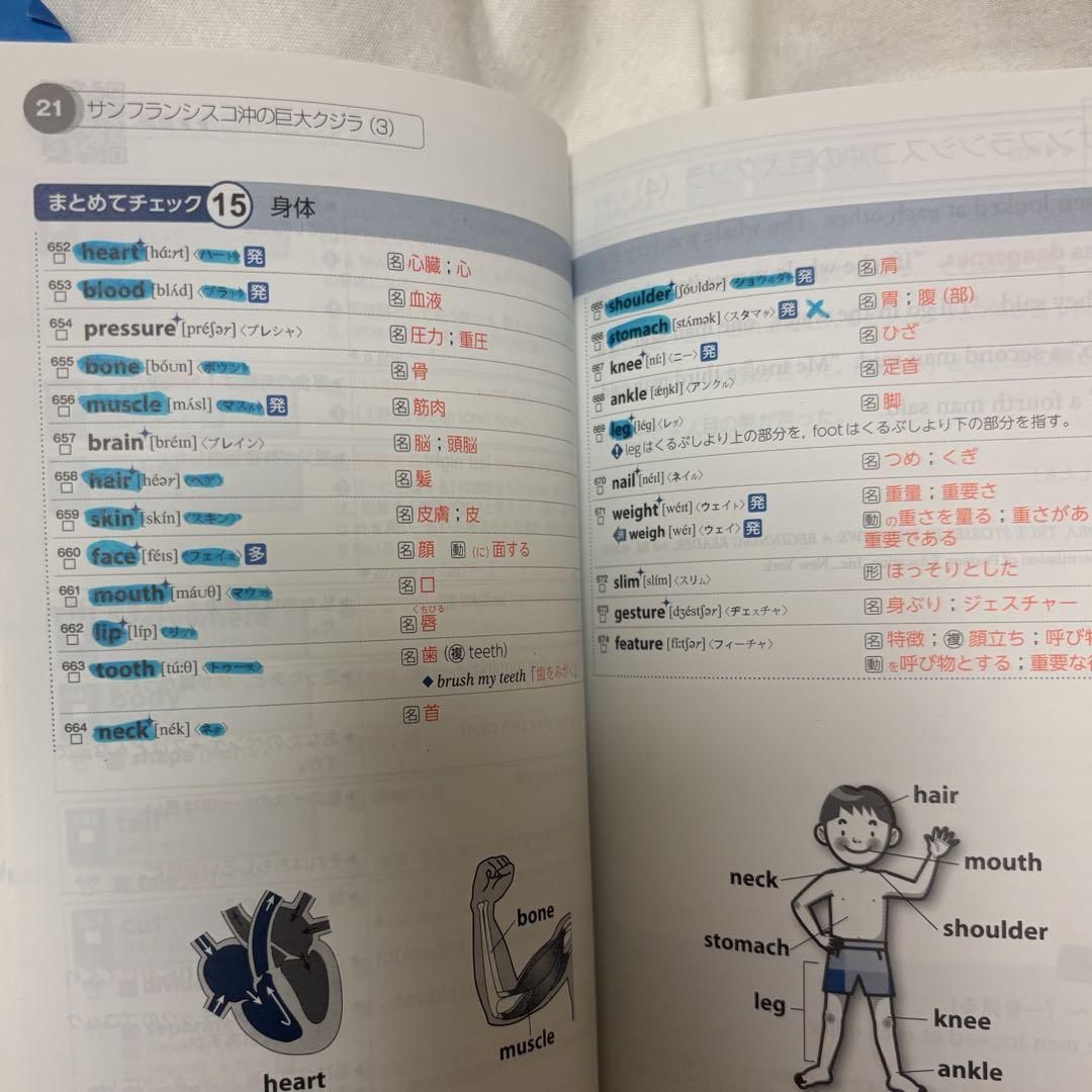 中学生 参考書 理科 数学 英語 社会 地理 - メルカリ